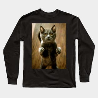 Funny Cat Standing Up Right Long Sleeve T-Shirt